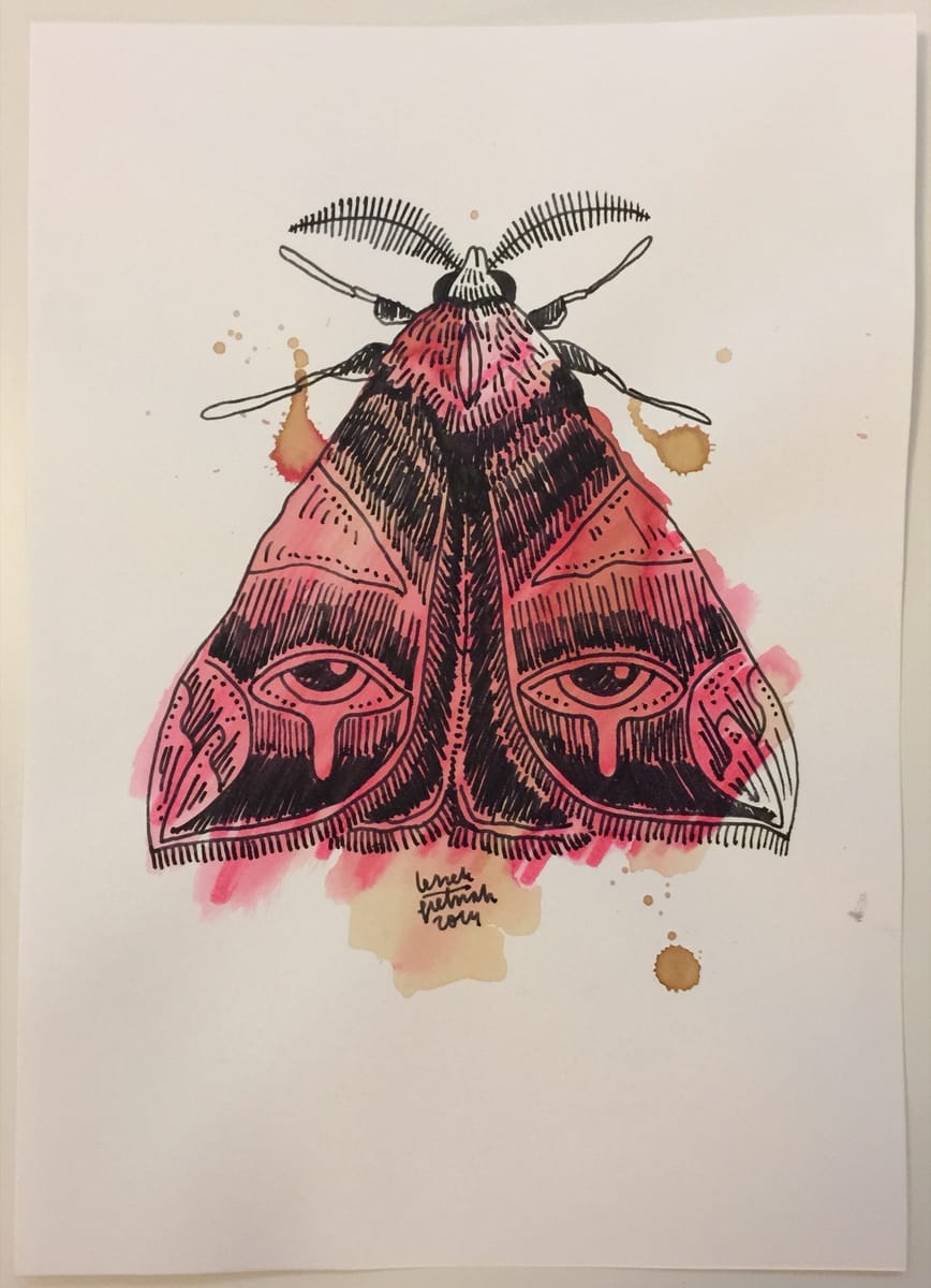 moth-1-2014-poor-quality-photo